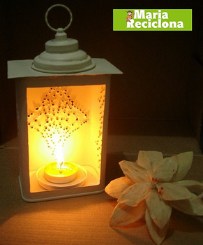 Medium_bruna
