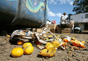 Medium_desperd_cio_de_alimentos