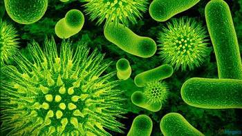 Medium_germs