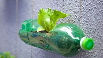 Medium_horta-rosembaum
