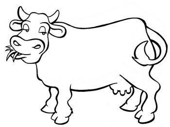 Medium_desenhos-para-colorir-boi-para-colorir-1