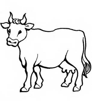 Medium_vaca-1
