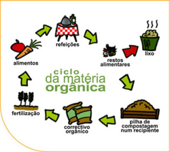 Medium_ciclo_mat_organica
