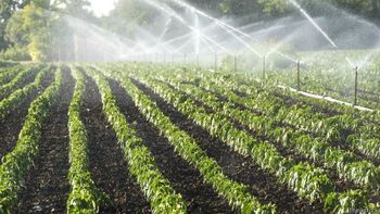 Medium_desperdicio_na_agricultura