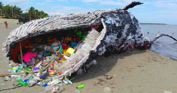 Medium_lixo-plastico