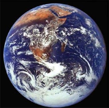 Medium_192102832a612e05804131a3d97f0fdf.jpg_terra