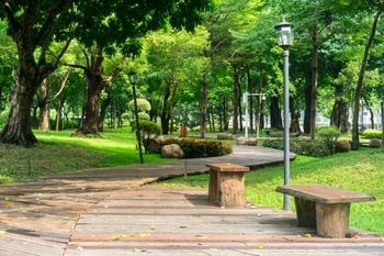 Medium_parque-com-um-caminho-de-madeira-e-bancos_1137-254