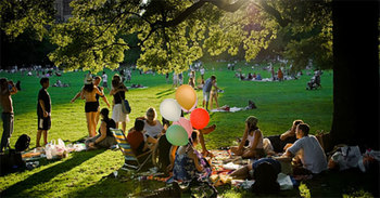 Medium_picnic
