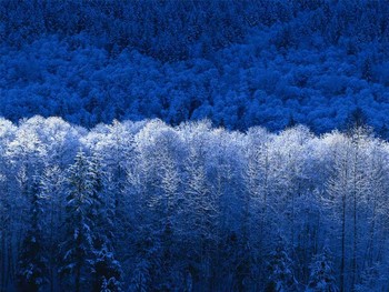 Medium_inverno