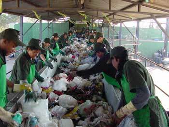 Medium_cooperativa