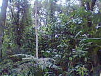 Medium_foto0143