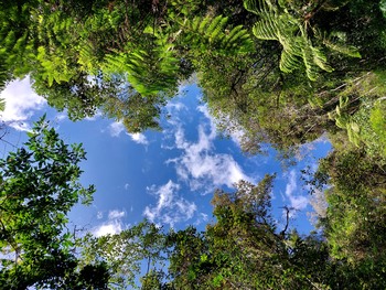 Medium_20220714_120029