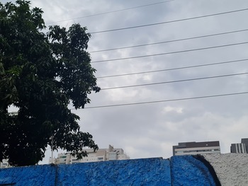 Medium_20221019_081745