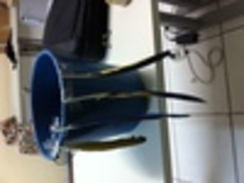 Medium_balde