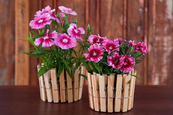 Medium_flores-em-objetos-reciclados-11