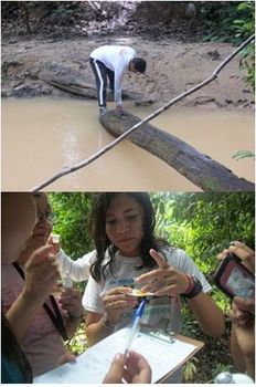 Medium_agua_analise