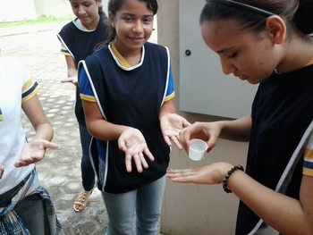 Medium_2014-05-15_15.42.08