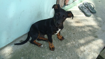 Medium_dsc06644