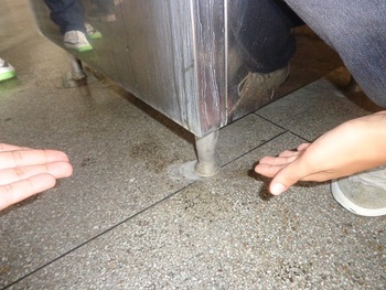 Medium_dsc00555