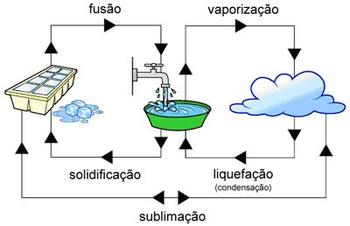 Medium_449x290x8961.jpg.pagespeed.ic.iaxasomlxwh2ulq8e4pw