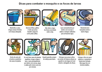 Medium_dengue1