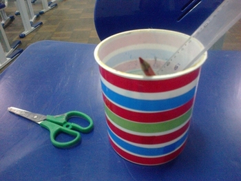 Medium_110620141982