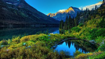 Medium_natureza