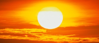 Medium_321