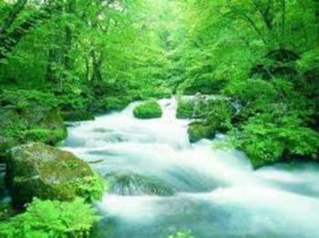Medium_images