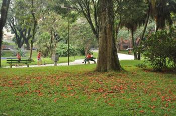 Medium_parque