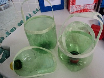 Medium_dsc02986