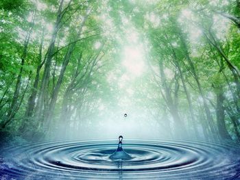 Medium_gota-na-agua