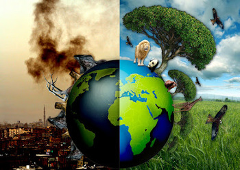 Medium_passos-para-salvar-o-meio-ambiente-19