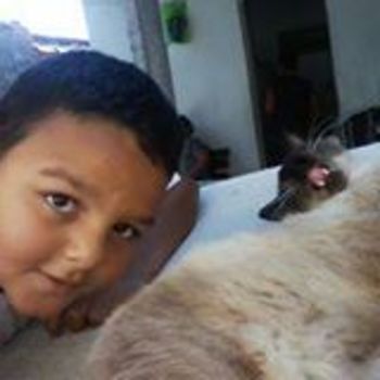 Medium_11058729_491294594351151_81710943586660153_n