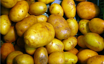 Medium_potatoes-750
