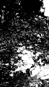 Medium_3