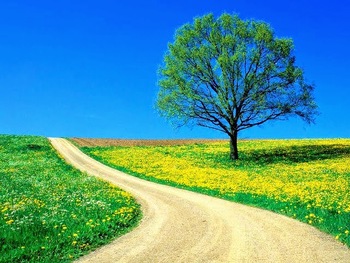 Medium_paisagens