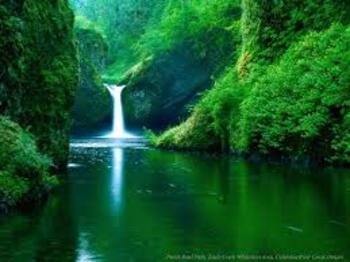 Medium_paisagem_isabelle
