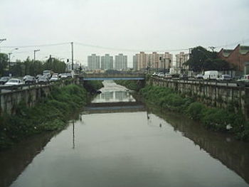 Medium_300px-rio_tamanduate_