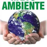 Top_projeto_ambiental