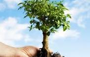 Faca_acontecer_meio_ambiente05