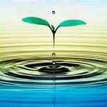 Top_agua