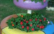 Faca_acontecer_images