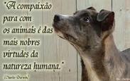 Faca_acontecer_bichos