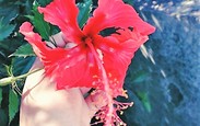 Faca_acontecer_photoeditor_20190411_143950774