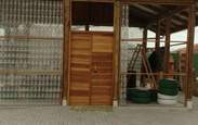 Faca_acontecer_received_523865011719991