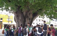 Faca_acontecer_projeto_foto