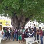 Top_projeto_foto