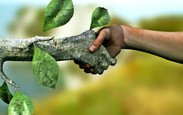 Faca_acontecer_desenvolvimento-sustentavel