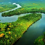 Top_amazonas